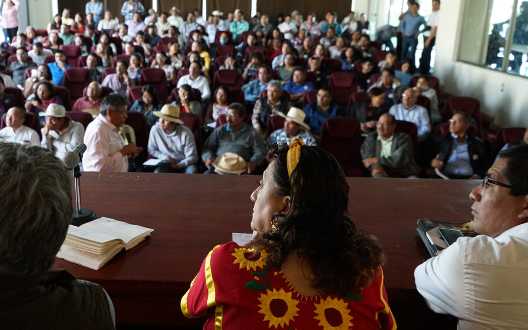 Congreso y productores organizan Agenda para el campo